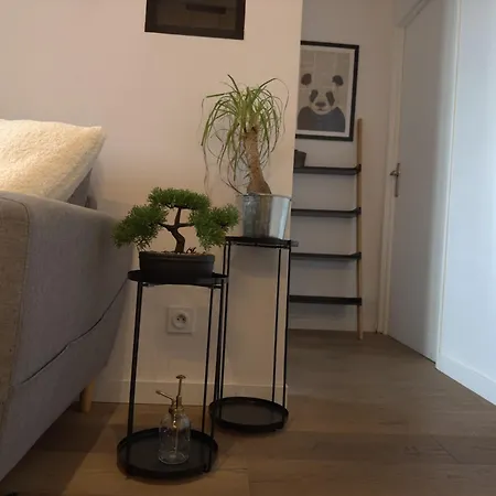 French Loft - Central & Comfy Annecy